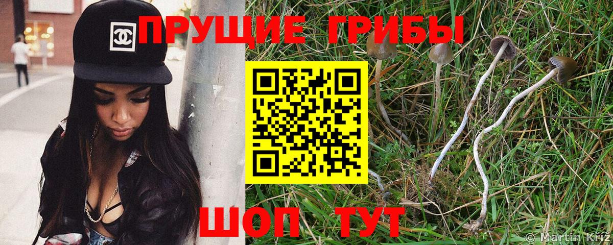 Галлюциногенные грибы GOLDEN TEACHER  Вход с VPN  Галлюциногенные грибы Psilocybine cubensis  Усинск 
